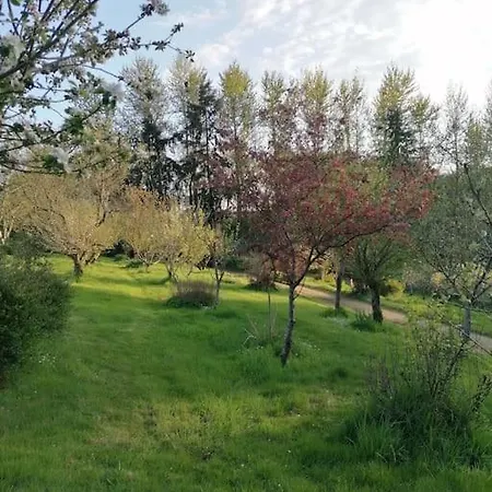Chalet En Pleine Nature Au Bord D'Un Etang Lanvallay Exterior foto