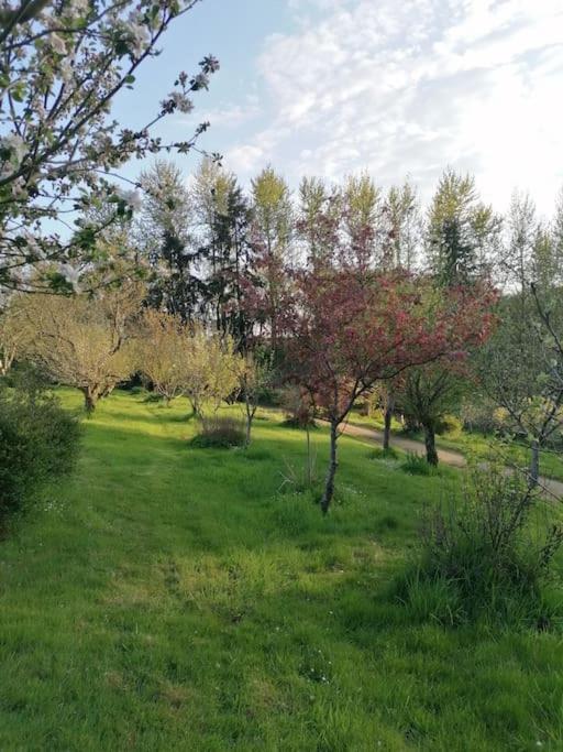 En Pleine Nature Au Bord D'un Etang Chalet