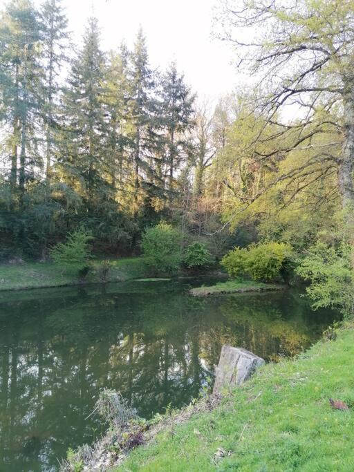 En Pleine Nature Au Bord D'un Etang *