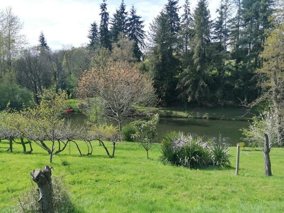 En Pleine Nature Au Bord D'un Etang